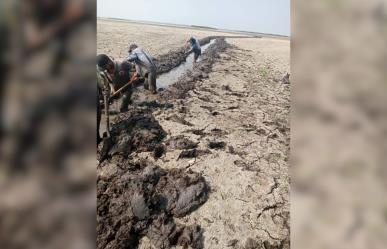 Excavan canal para extraer agua en Altamira