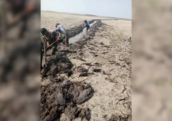 Excavan canal para extraer agua en Altamira