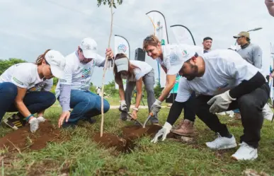 Día Mundial del Medio Ambiente: Heineken recomienda acciones para conservarlo