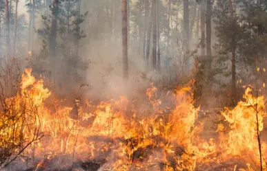 Hay semáforo rojo por alerta de incendios en Coahuila: Conafor