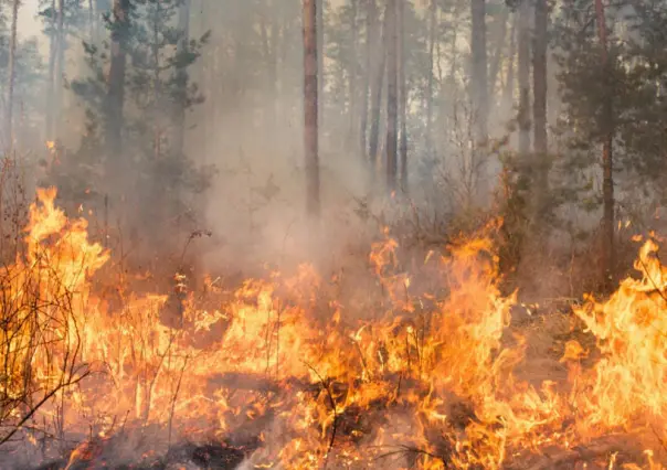 Hay semáforo rojo por alerta de incendios en Coahuila: Conafor