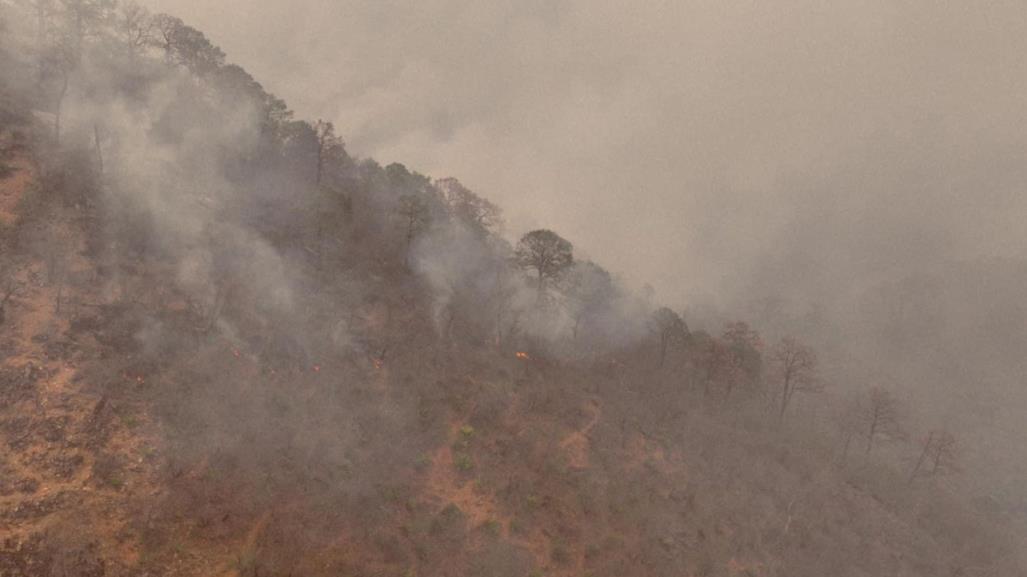 Activos cuatro incendios forestales en Tamaulipas