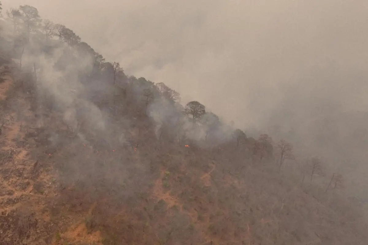 Recientemente fue extinguido el incendio forestal que se registraba en la Sierra Madre Oriental, en la zona conocida como el Cañón del Novillo. Foto: Archivo