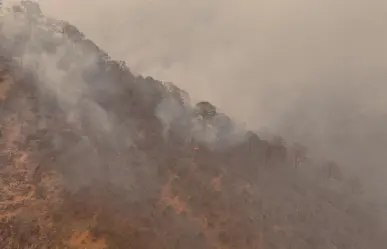 Activos cuatro incendios forestales en Tamaulipas