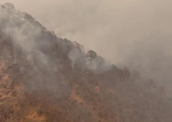 Activos cuatro incendios forestales en Tamaulipas