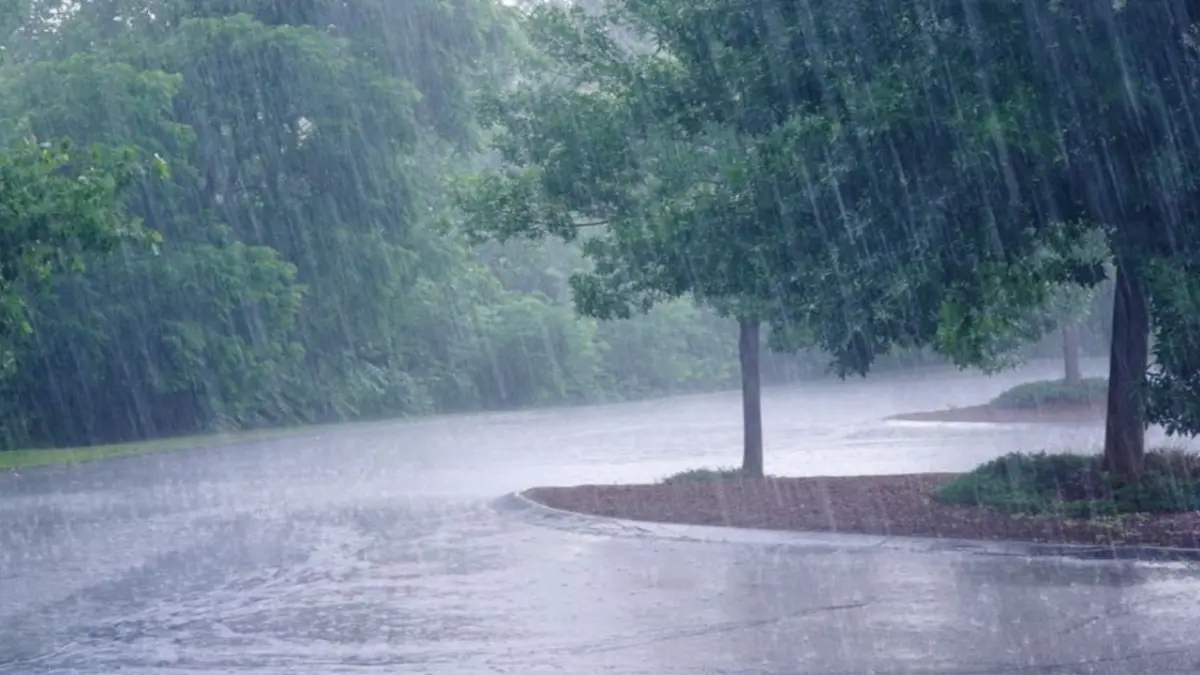 Se prevé que las lluvias más intensas sean el fin de semana Foto: Especial