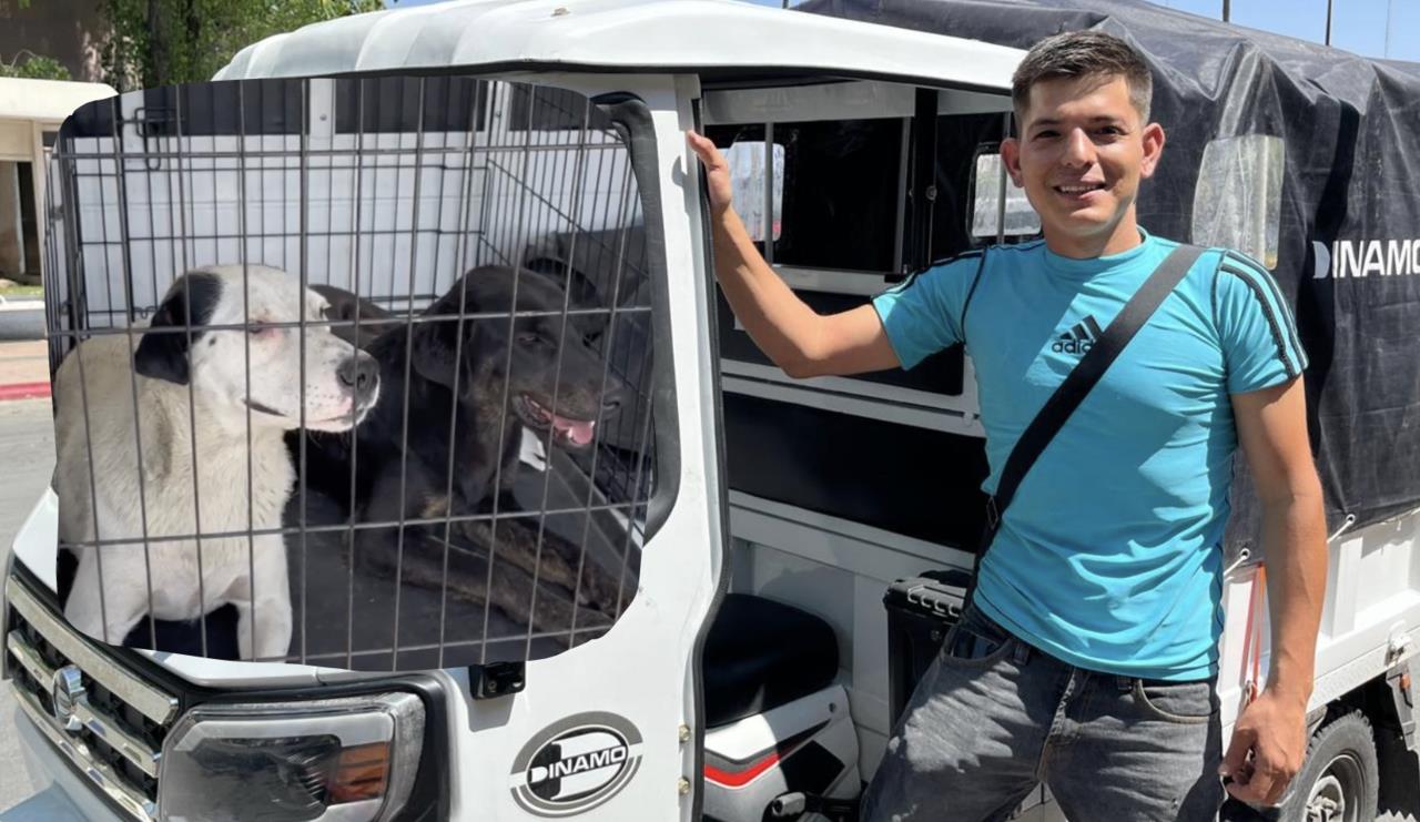 Daniel Pérez Martínez es un joven que ayuda a los animales de la calle en Saltillo. (Fotografía: Leslie Delgado)