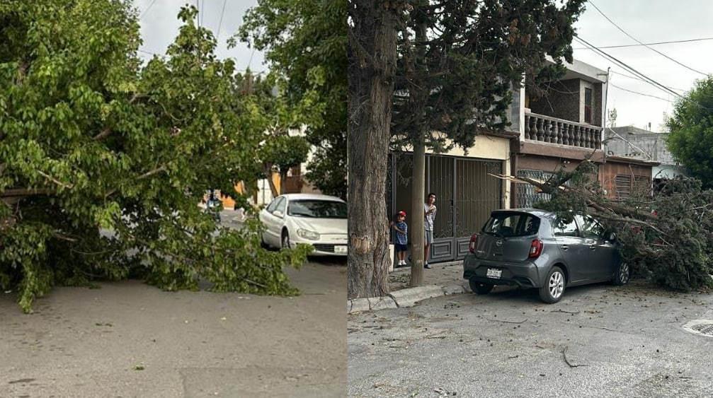 Protección Civil se mantiene alerta ante condiciones climatológicas severas