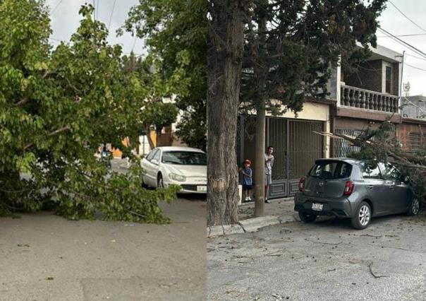 Protección Civil se mantiene alerta ante condiciones climatológicas severas