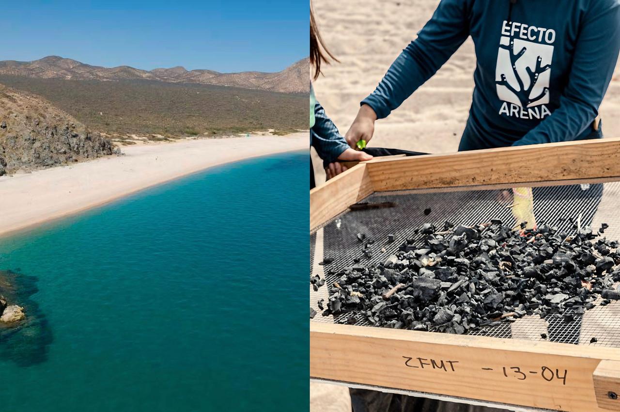 Jornada de limpieza en playa El Saltito BCS. I Foto: Gobierno de BCS.