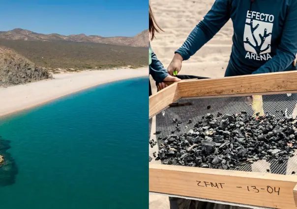 Playas de La Paz recibirán limpiezas mensuales para reducir la contaminación