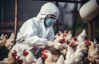 OMS reporta primera muerte por gripe aviar H5N2 en México