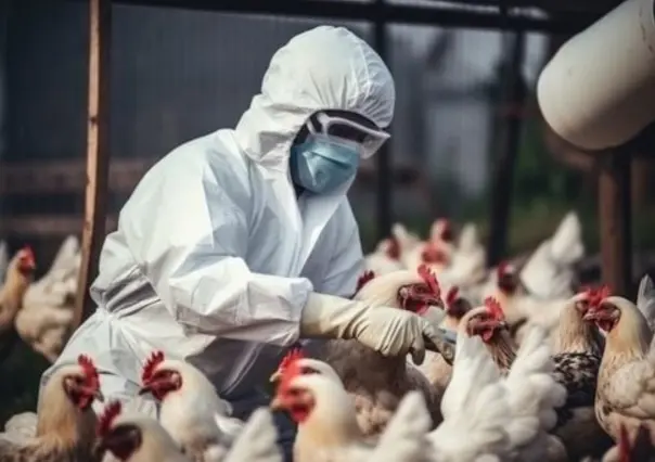 OMS reporta primera muerte por gripe aviar H5N2 en México