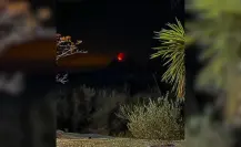 Se incendia el emblemático Cerro del Bernal en Tamaulipas