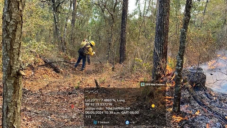 Protección Civil de Tamaulipas continúa combatiendo incendio forestal de Jaumave