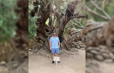 Conoce los olivos tricentenarios de San Javier
