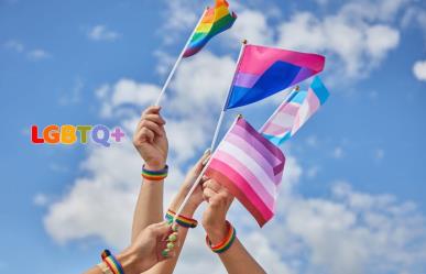 Las banderas LGBTIQA+  y su significado: más allá de la bandera arcoíris