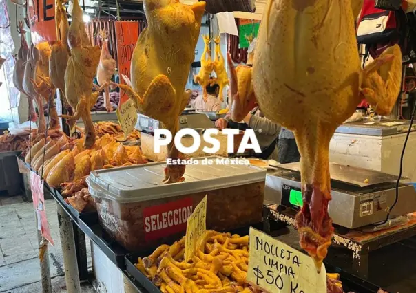 Gripe aviar H5N2: Se diluye alerta en Edomex (VIDEO)