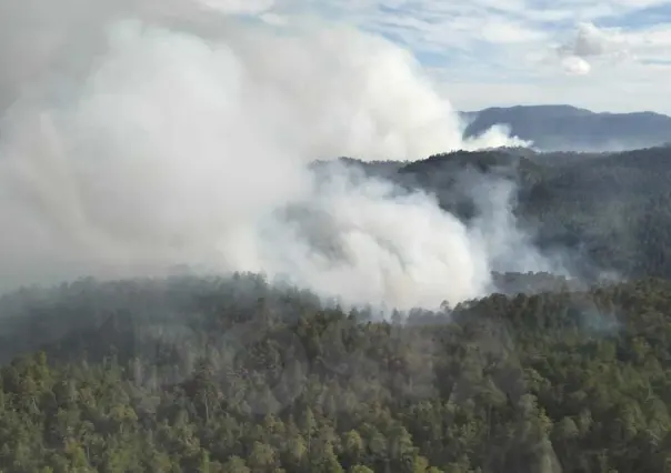 Durango dentro de los estados más afectados por incendios forestales