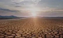 Todos los municipios, a excepción de Nueva Ciudad Guerrero, presentan sequía