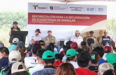 Refuerza SEDUMA reforestación de mangle en costas tamaulipecas