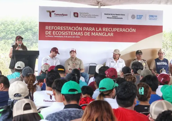 Refuerza SEDUMA reforestación de mangle en costas tamaulipecas