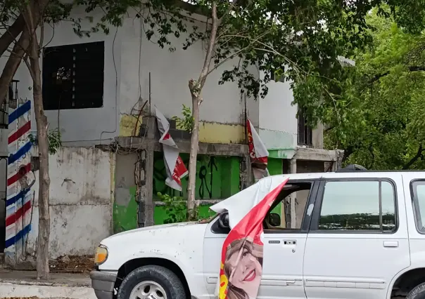 Basura electoral ¿Qué es?