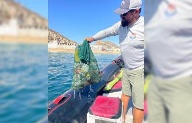 Indigna contaminación en bahía de Cabo San Lucas (Video)