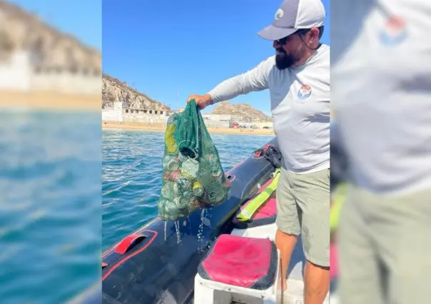 Indigna contaminación en bahía de Cabo San Lucas (Video)