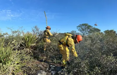 Liquidan autoridades al 100% fuego en comunidad Canoas en Santa Catarina