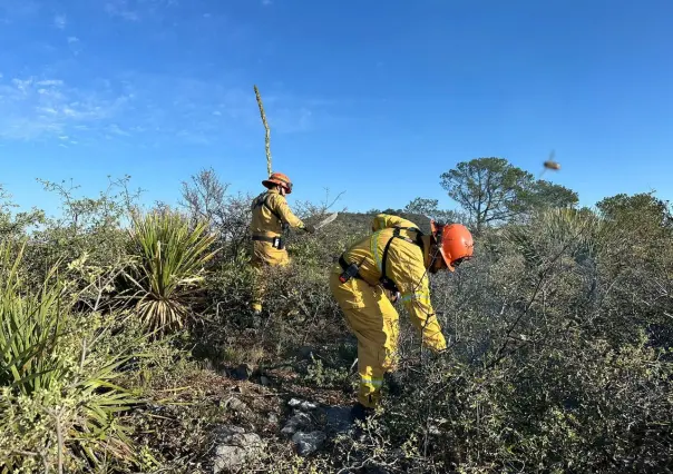 Liquidan autoridades al 100% fuego en comunidad Canoas en Santa Catarina