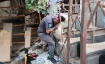 Rescate animal en Pesquería: Linces salvan a chivito de noria