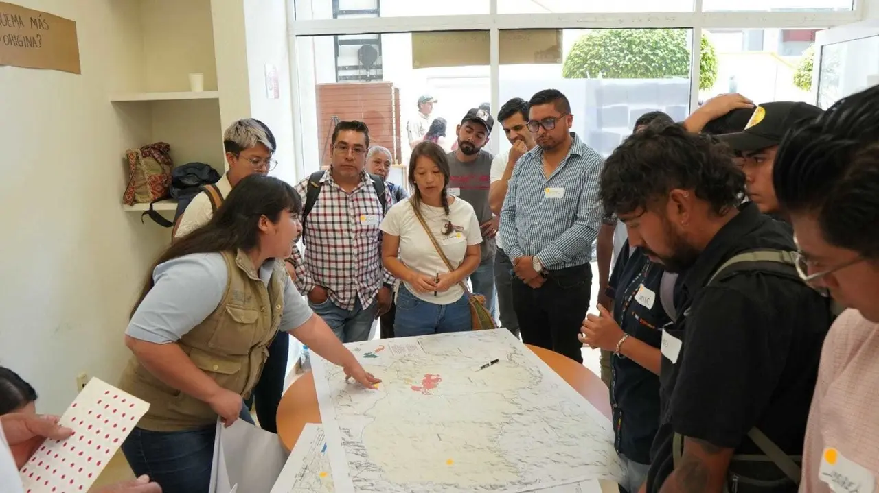 Durante el foro de Ecosistemas resilientes al fuego se estableció la estrategia de restauración integral que se aplicará a todo el estado. Foto: Probosque