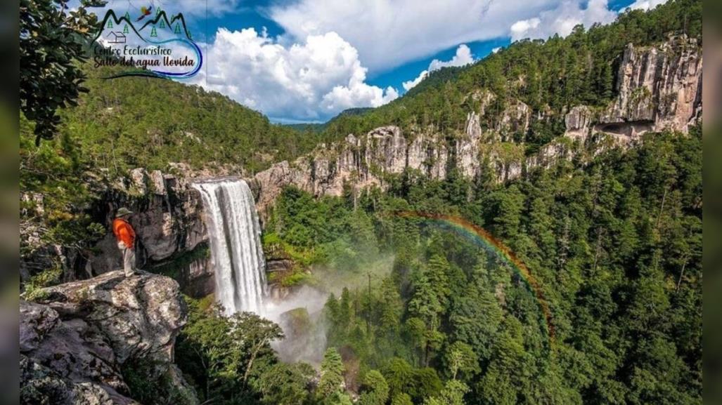 Tres cascadas de Durango que deberías conocer durante la temporada de lluvias