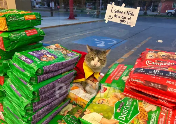 ¡No hay sistema! Michi atiende en Oxxo de Apodaca