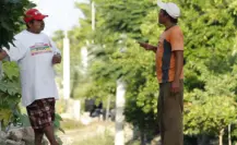 La hach: Conoce el significado de esta popular expresión del español yucateco
