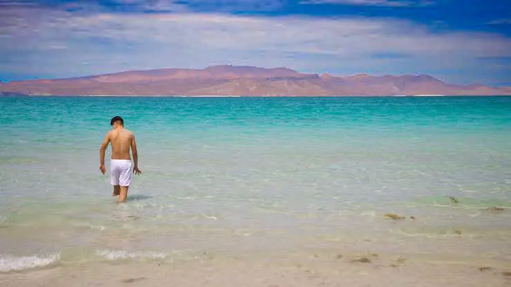 Playa El Tecolote en La Paz, BCS. I Foto: Expedia.com.