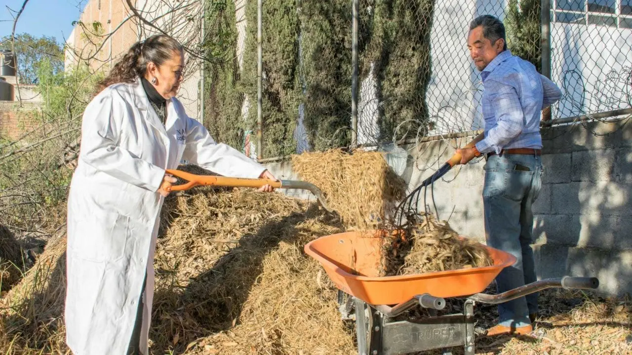 El programa piloto de elaboración de composta a partir de desechos orgánicos que incluye materia fecal de animales y restos de poda de jardines. Foto: FES Cuautitlán