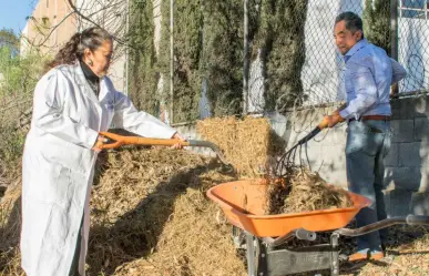 Composta de desechos orgánicos, alternativa contra la contaminación