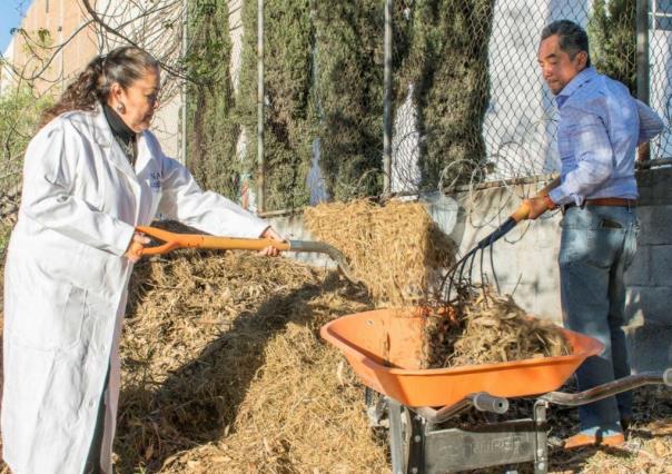 Composta de desechos orgánicos, alternativa contra la contaminación