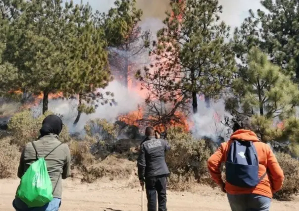 Lidera Edomex la lista de entidades con más incendios forestales