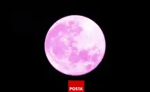 Luna de fresa será visible en México, conoce todos los detalles