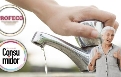 Aprende a ahorrar dinero y agua con estos útiles consejos de la Profeco