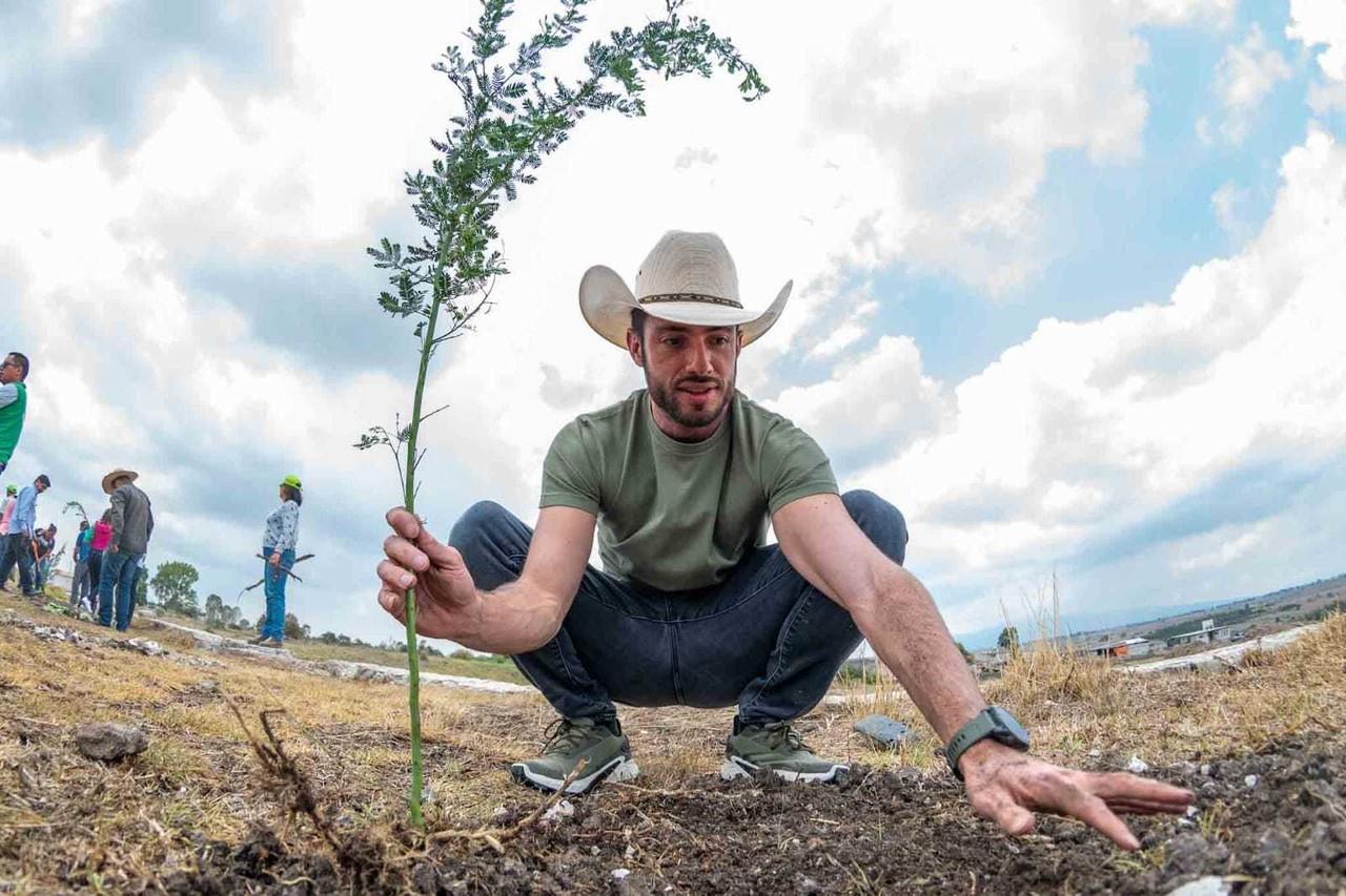 Anuncia PVEM reforestación de 715 mil 896 árboles. Imagen: @pepecouttolenc