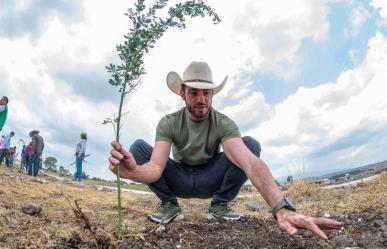 Reforestará PVEM 715,896 árboles por Voto Verde en Edomex