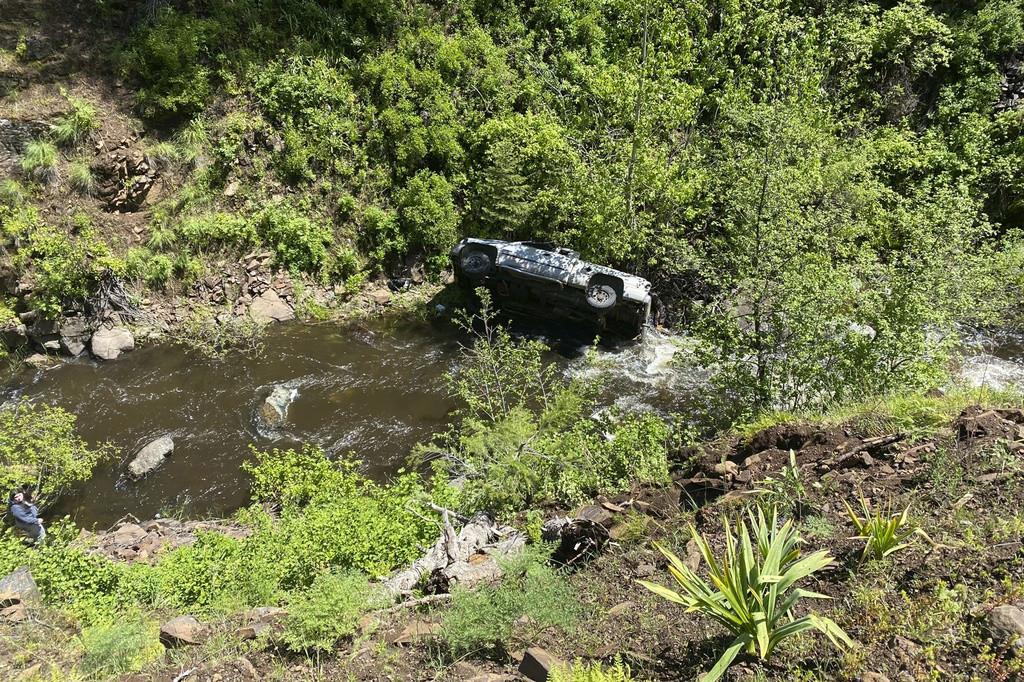 ¡Su mejor amigo! Perro salva a su dueño tras caer con auto a barranco