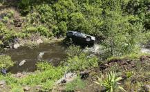 ¡Su mejor amigo! Perro salva a su dueño tras caer con auto a barranco