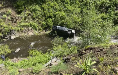 ¡Su mejor amigo! Perro salva a su dueño tras caer con auto a barranco