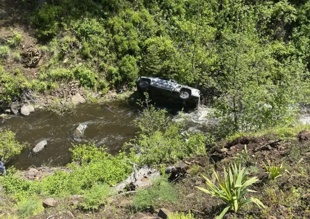 ¡Su mejor amigo! Perro salva a su dueño tras caer con auto a barranco