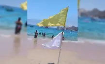 ¡Aguas con las medusas! Colocan banderas blancas en 3 playas de Los Cabos